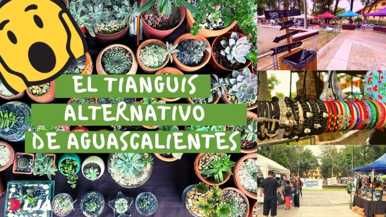 ¿Cómo Sendero Natural se ha sostenido por 4 años como una opción alternativa con productores de Aguascalientes?