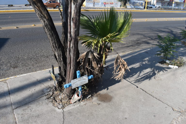 Para morir he nacido Imágenes de Aguascalientes 