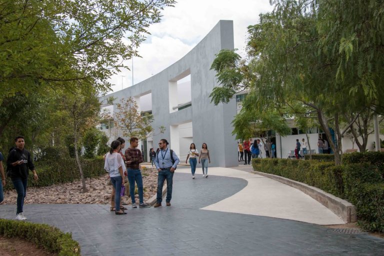 Peligrosa, la gratuidad en las universidades