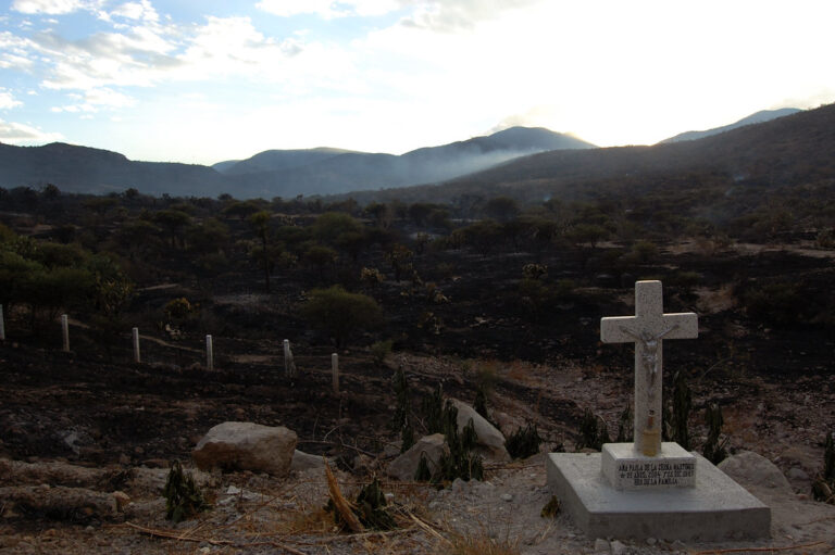 2020 cerró con al menos 5,380 atrocidades: ONG