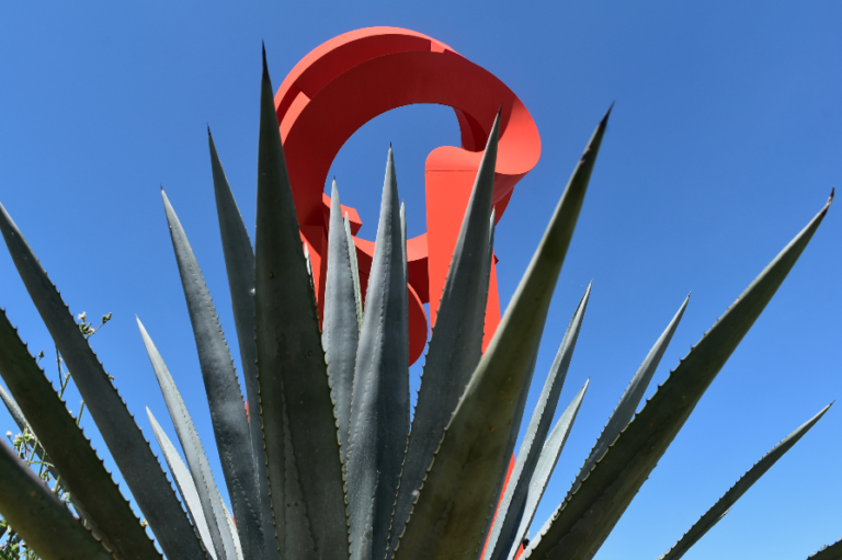 Imágenes de Aguascalientes:   Me gusta la ciudad 