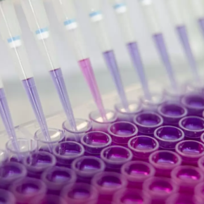 Captura de pantalla 2020-10-02 a la(s) 12.52.58 p.m.