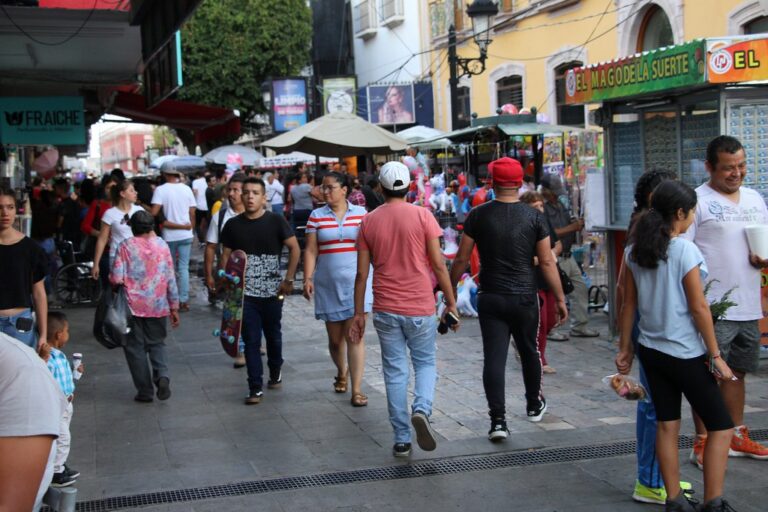 Compras públicas en México: Competencia, la gran ausente