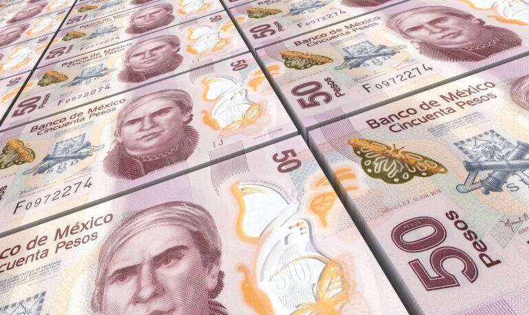 Alianza Federalista rechaza que el gobierno federal se apropie del dinero de fideicomisos