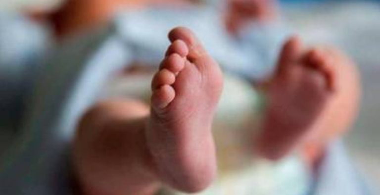 Cómo Elegir el Mejor Porta Bebés para Comodidad y Estilo