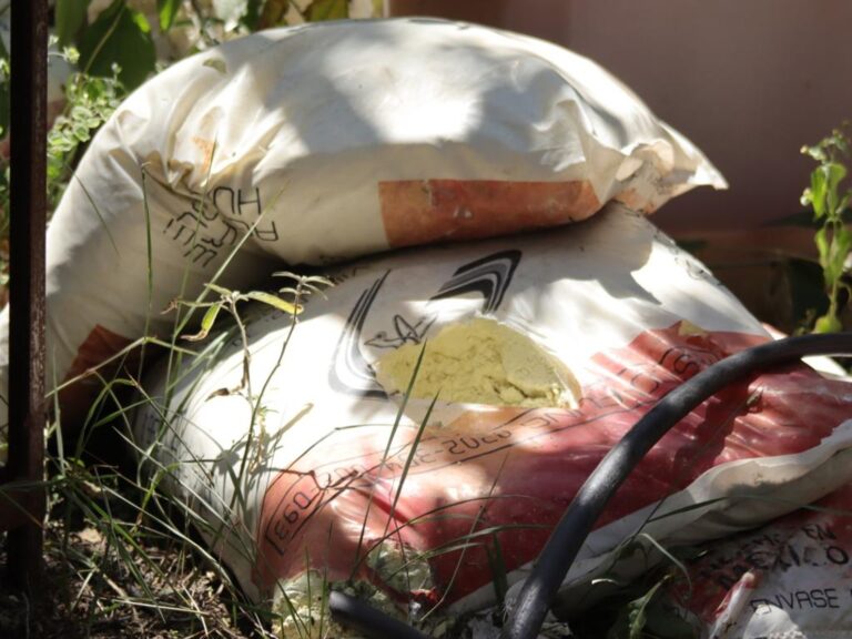 Aseguraron millonaria producción de cristal en Aguascalientes