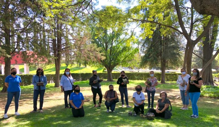 Ofrecen taller de propagación de suculentas