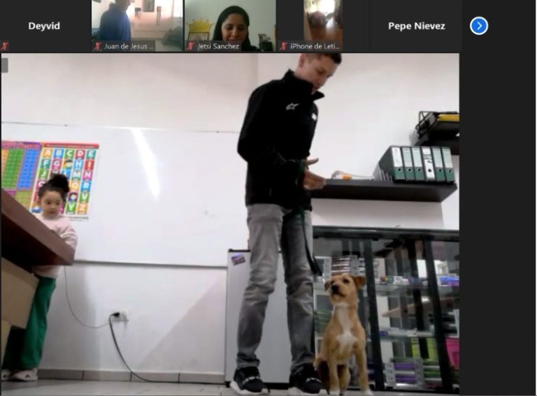 Se graduó la decimoquinta generación de adiestramiento canino