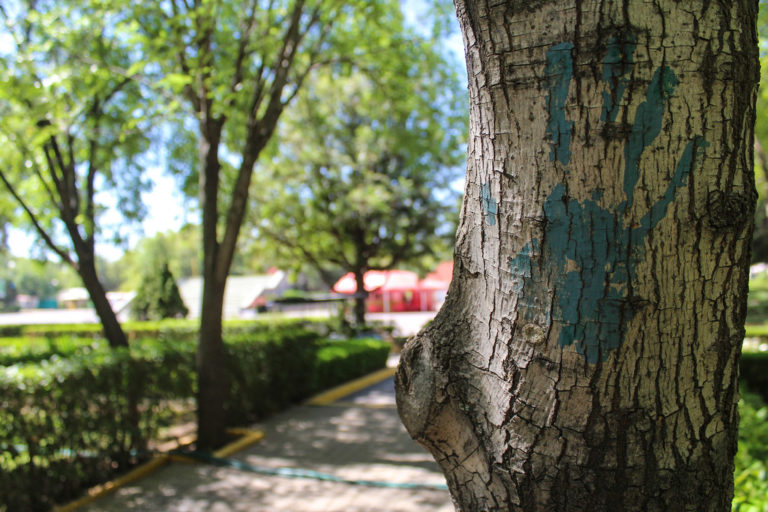 Persisten los delitos de violencia de género en Aguascalientes