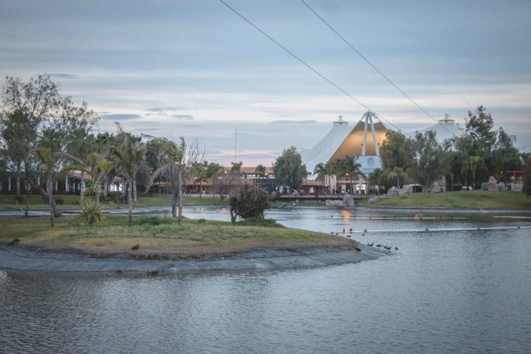 Dependencias de gobierno eliminarán programas y se extinguirán tres fideicomisos para el próximo año