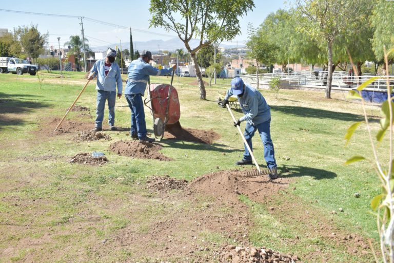 Municipio de Aguascalientes puso en marcha los trabajos de arrope de áreas verdes