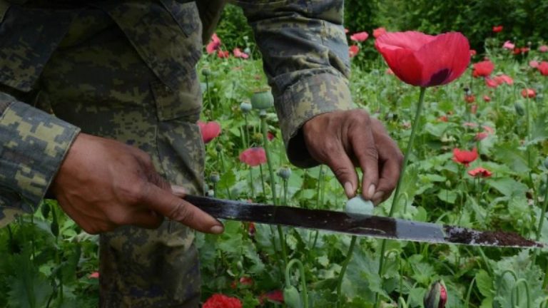 “Narcomarketing”, nueva estrategia usada por cárteles mexicanos en TikTok para reclutar a jóvenes: NYT