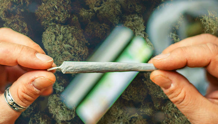 Gobierno de la CDMX celebra aprobación del uso lúdico y medicinal de la mariguana