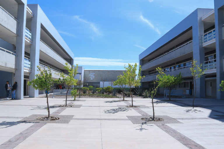 Reconocen excelencia académica de alumnos del CCI de la UAA