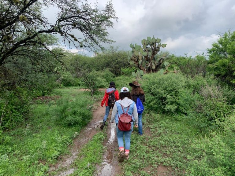 Alumnas de Biología de la UAA identifican mamíferos silvestres en el Campus Sur
