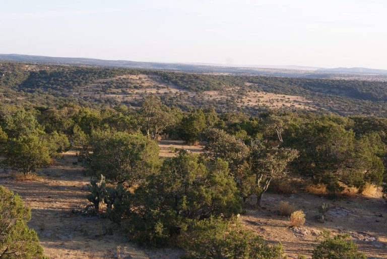 Hay incertidumbre sobre el papel de propiedades privadas en áreas naturales protegidas del estado de Aguascalientes