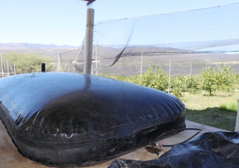 Sedrae apoya a productores del campo con geobolsas para recolectar agua