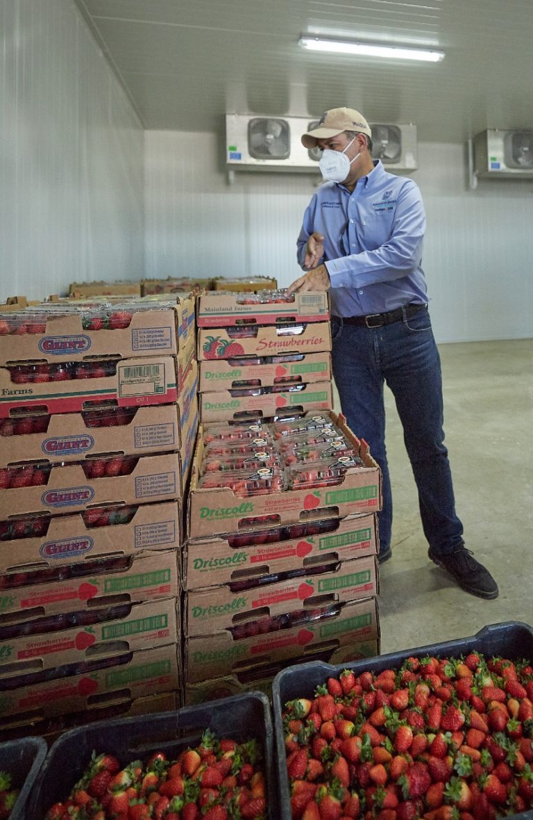 Gobernador de Aguascalientes entregó apoyos a productores del campo