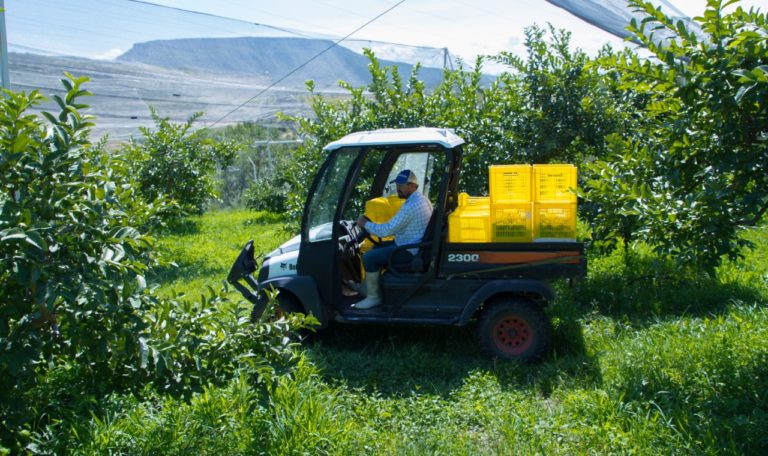 Se reunió gobernador de Aguascalientes con el presidente del Comité de Sistema Producto Guayaba