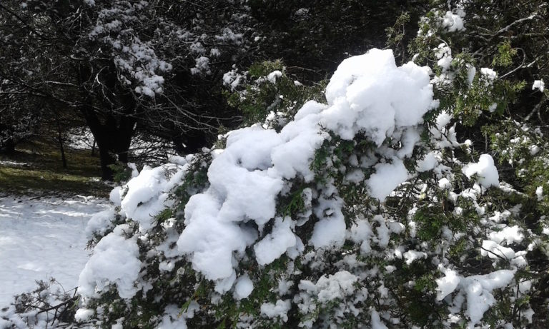 Pronostican posibles nevadas y temperaturas bajas en Aguascalientes