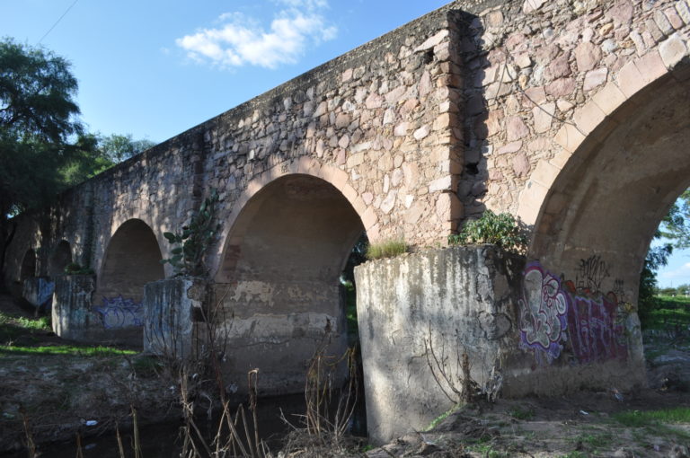 La persistencia de la vida/ Imágenes de Aguascalientes