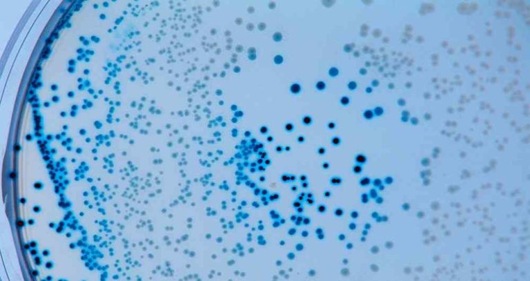 Juez federal ordena al Gobierno Federal a tomar medidas contra variante de covid-19