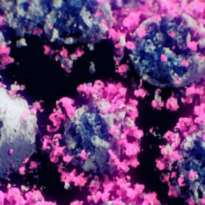 485e81f2-adcc-4f79-91d7-813992e22fc4_alta-libre-aspect-ratio_default_0