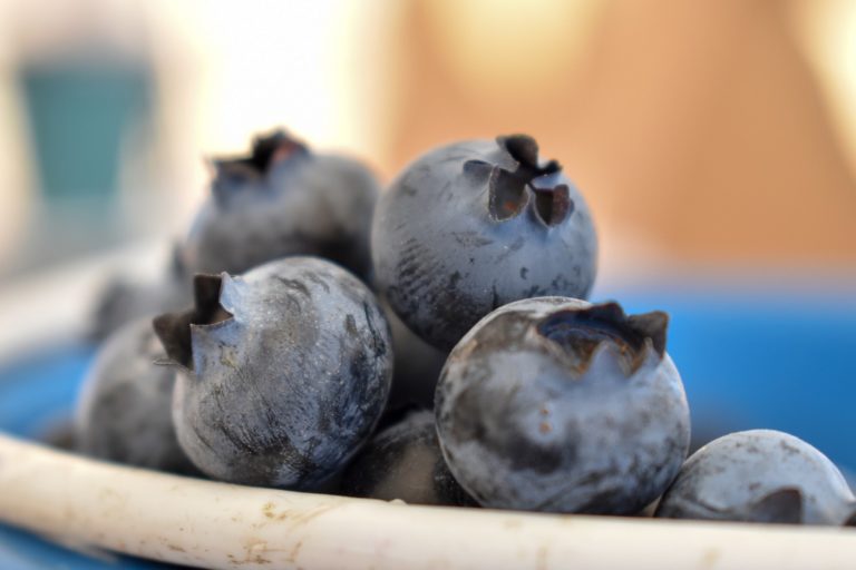 En Aguascalientes sí se trabaja en la diversificación de actividades productivas: Sedec