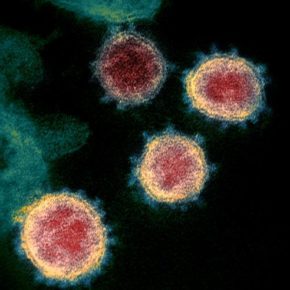 566880878235493ba44f3c5c96a22854-kf0G-U3230798871076feF-656×492@Corriere-Web-Sezioni