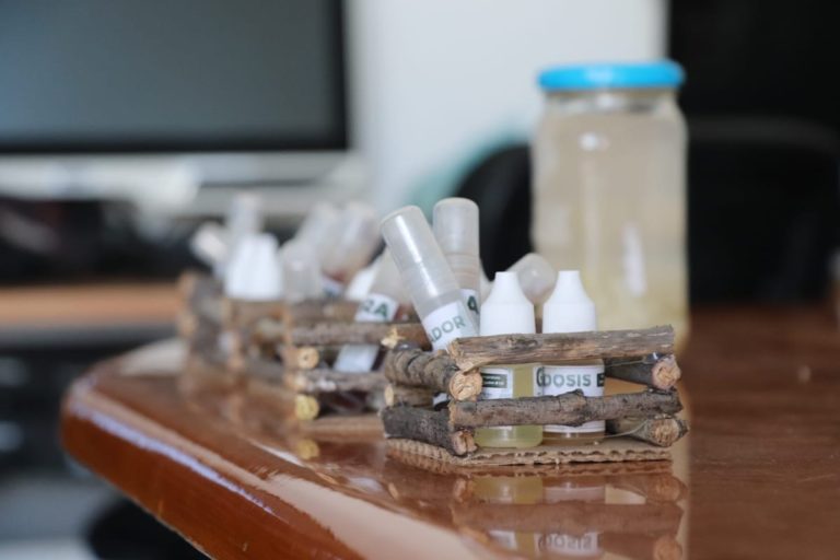 Municipio de Aguascalientes inició jornadas educativas en materia ambiental