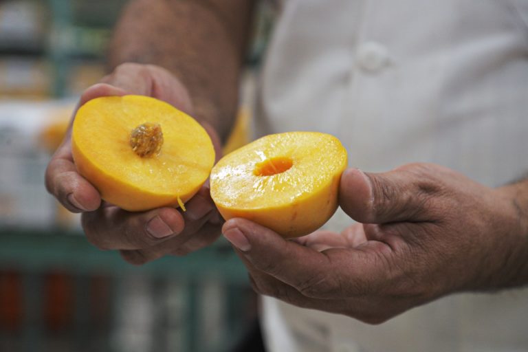 Productividad en el sector agropecuario ubica a Aguascalientes en el ranking nacional: Martín Orozco Sandoval