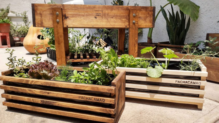 Agricultura y agroforestería urbanas, benéficas para ambientes de las ciudades