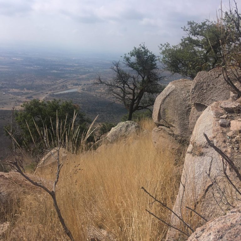 El paisaje como principio: Aguascalientes Ciudad-Matorral / Pensar el Hábitat