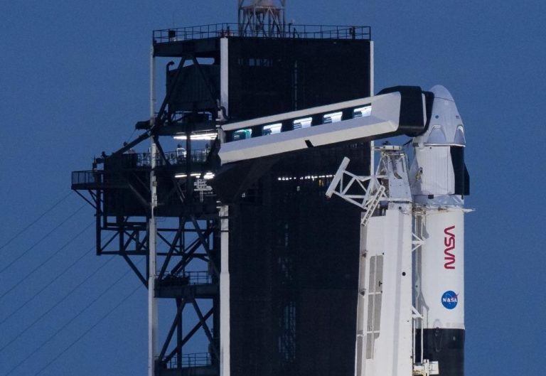 Empleados de Elon Musk fueron voluntarios en estudio sobre inmunidad y covid-19