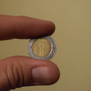 49347999558_2bcc324ce0_k