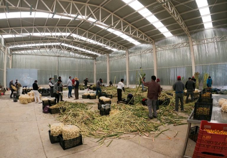 La buena: empresas planean subir sueldos. La mala… sólo 5%