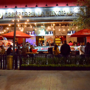 50872583226_7ff39f8f4b_k