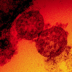 Captura de pantalla 2021-02-26 a la(s) 2.36.04 p.m.