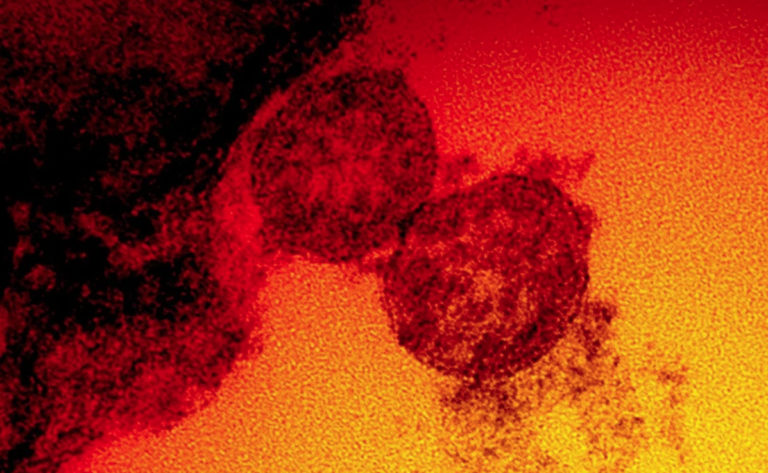 ¿Variante mexicana del Covid-19? Detectan nueva mutación de coronavirus predominante en México: InDRE