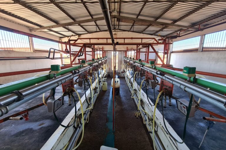 Ganaderos pueden solicitar apoyos para modernizar sus unidades de producción   