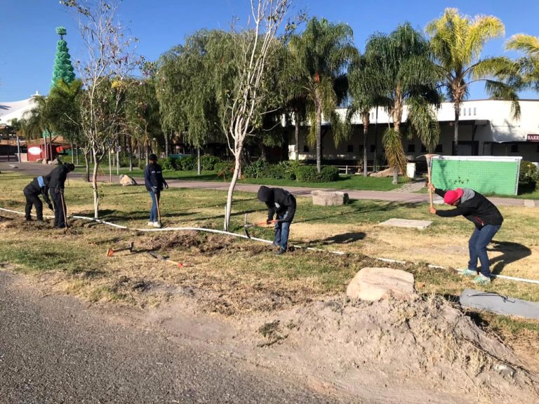 Participan voluntarios en mantenimiento y rehabilitación de la Isla San Marcos