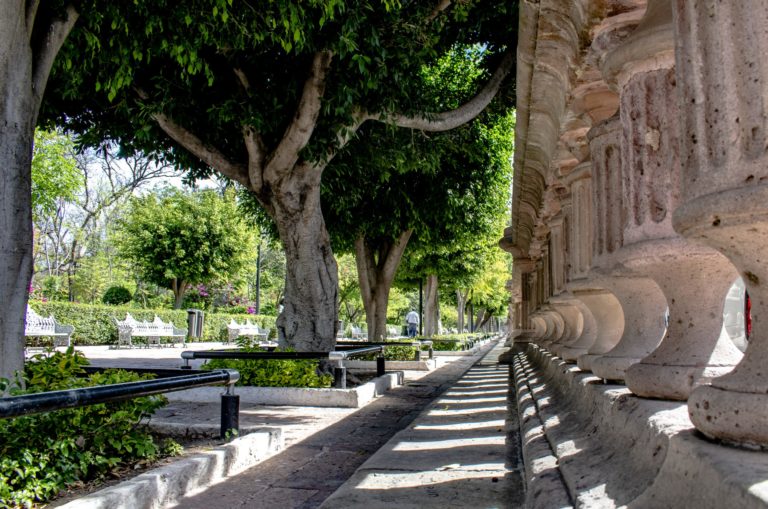 En Aguascalientes diseñarán áreas verdes con especies endémicas que requieran menos agua