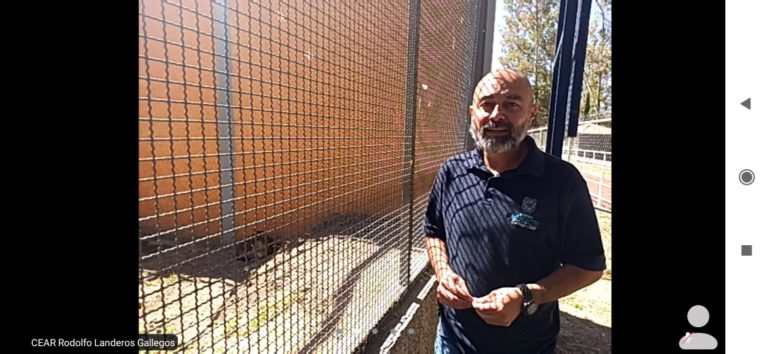 SSMAA impartió charla ¿Por qué un animal de la vida silvestre no debe ser mascota?