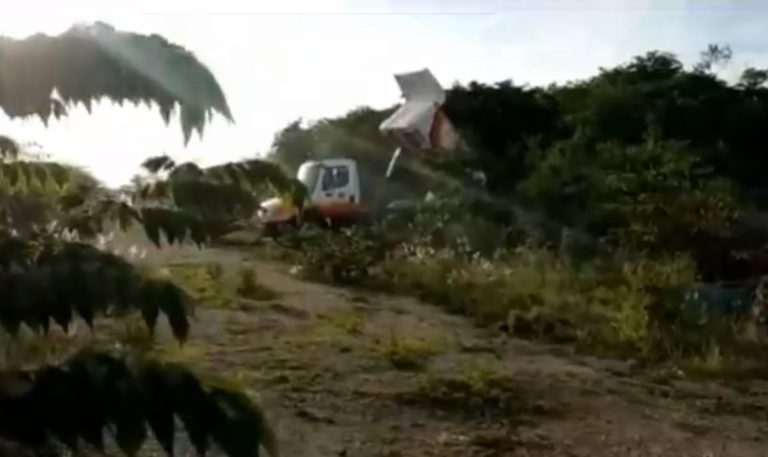 Una “mafia agraria” privatizó, en tres décadas, medio millón de hectáreas ejidales en Yucatán