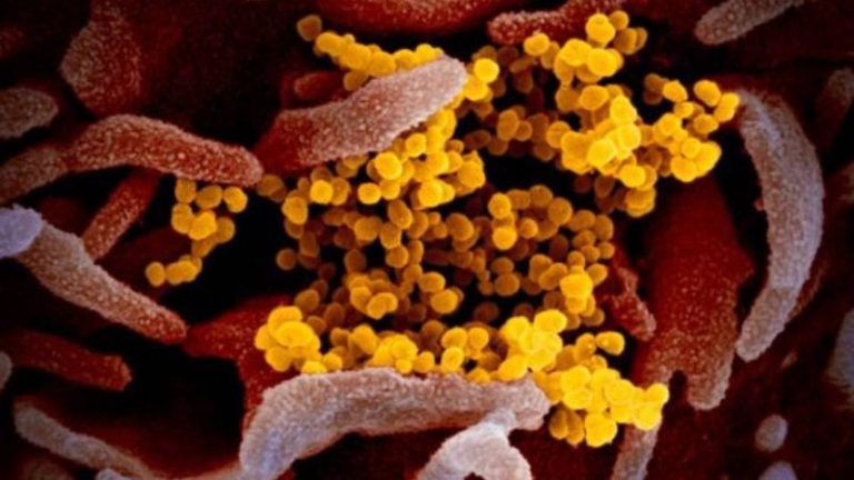 Variante británica del coronavirus “va a barrer el mundo, con toda probabilidad”: Genomics UK