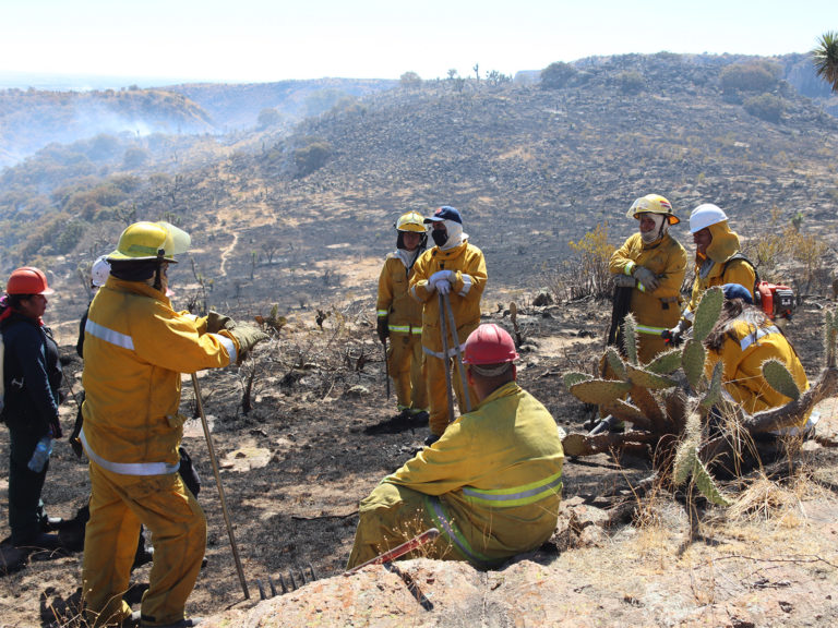 Sofocaron incendio forestal en Pabellón de Arteaga con ayuda del Águila 1