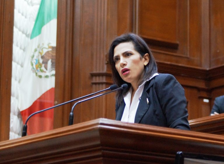 Diputada antiderechos olvidó que pedía respeto en la tribuna del Poder Legislativo