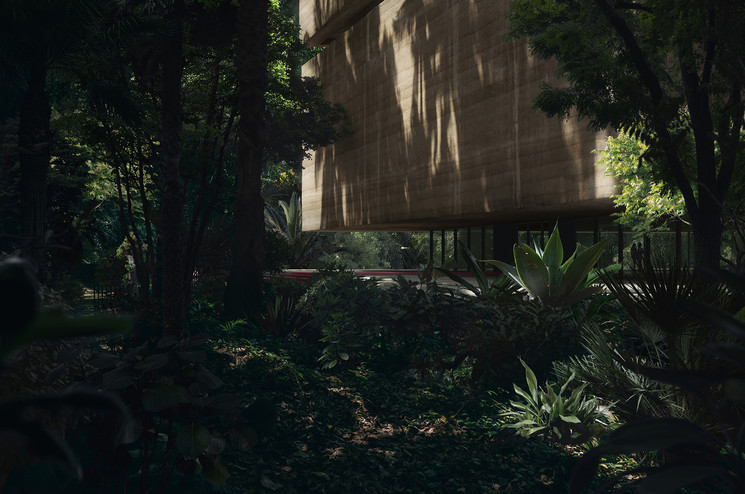 Xinatli, el museo mexicano que estará en medio de la selva.