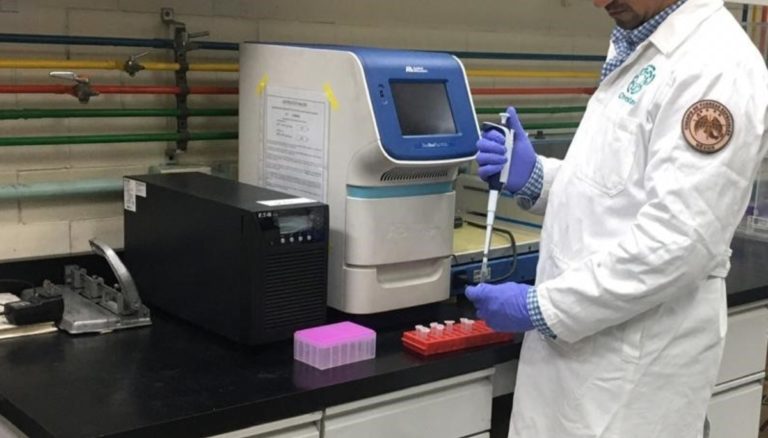 Son cuatro los proyectos para vacuna mexicana contra el COVID-19: AMLO