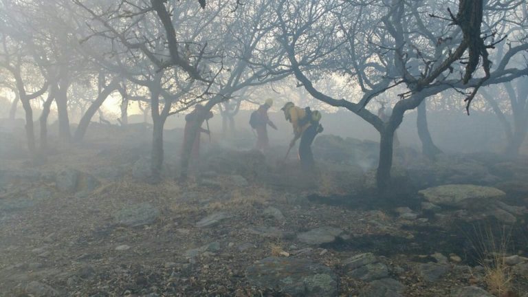 No hay pagos de tiempo extra a trabajadores de la Conafor en Aguascalientes